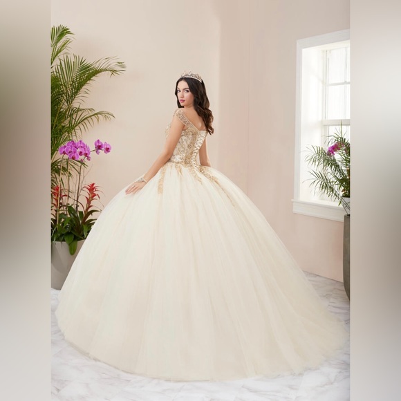 FIESTA GOWNS by HOUSE OF WU - Quinceanera Ball Gown - Picture 3 of 12